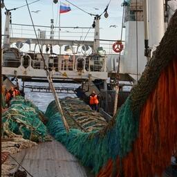 Сельдевая путина в Беринговом море. Фото пресс-службы «Океанрыбфлота»
