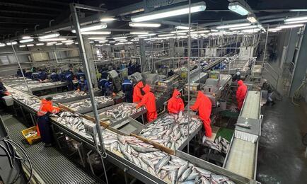 «Дальрыбтехцентр» рассказал о главных проектах 2025 г. Фото предоставлено ДРТЦ