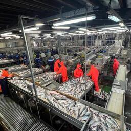 «Дальрыбтехцентр» рассказал о главных проектах 2025 г. Фото предоставлено ДРТЦ