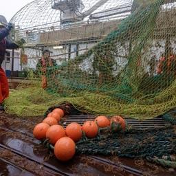 Рыбный промысел на Северном бассейне. Фото предоставлено АТФ
