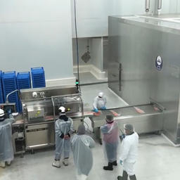Спиральный морозильный аппарат Moon Tech на рыбоперерабатывающем заводе в Чили