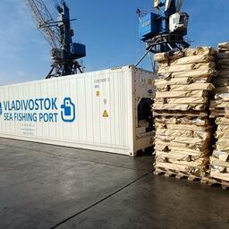 Владивостокский морской рыбный порт в январе обработал более 20 тыс. тонн рыбных грузов