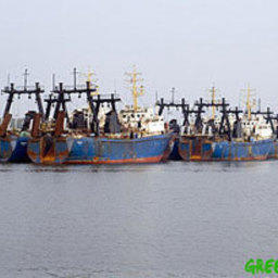 В калининградском порту задержаны браконьерские суда из «черного списка» ЕС