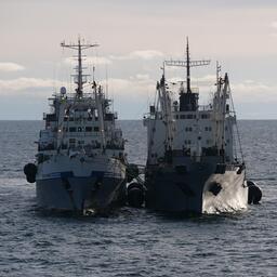 Перегруз рыбопродукции в море. Фото предоставлено «Океанрыбфлотом»