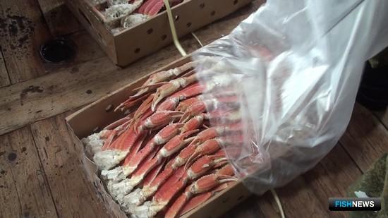 В морозильном трюме пограничники нашли около 22 тонн конечностей краба-стригуна опилио. Фото пресс-службы ПУ ФСБ России по Сахалинской области