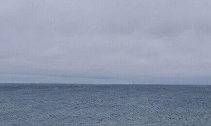 Власти Магаданской области заявили о нецелесообразности продажи долей квот вылова на аукционах