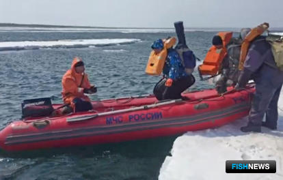 Эвакуация неосторожных рыбаков с льдин в заливе Мордвинова происходит ежегодно. Фото пресс-службы Сибирского регионального центра МЧС России