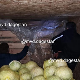 Полицейские заметили, что внутри кузов значительно меньше, чем снаружи. Фото пресс-службы Управления МВД России по Республике Дагестан