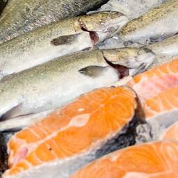 Россельхознадзор временно ограничил ввоз рыбной продукции с ряда предприятий Франции, Эстонии и Дании