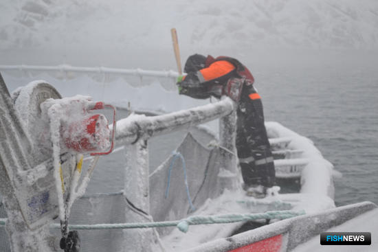 Лед сковал аквафермы. Фото Северного ЭО АСР