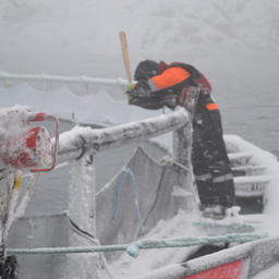 Лед сковал аквафермы. Фото Северного ЭО АСР