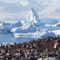 Берег Антарктиды. Фото пресс-службы Минприроды