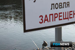 Рыбоводу придется демонтировать запрещающие таблички или изменить их содержание. Фото пресс-службы прокуратуры Ростовской области