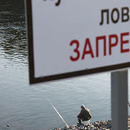 Рыбоводу придется демонтировать запрещающие таблички или изменить их содержание. Фото пресс-службы прокуратуры Ростовской области