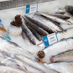 Еще одной особенностью нынешнего года стала растущая популярность сибирской рыбы