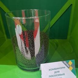 Заинтересованы в развитии деловых связей производители рыбных кормов из Белоруссии