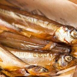 Корюшка — один из символов Ленобласти