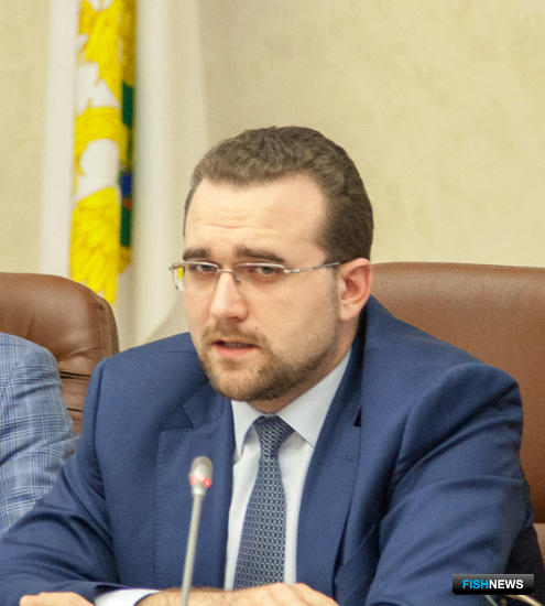 Директор департамента обеспечения реализации инвестиционных проектов Минвостокразвития Александр КРУТИКОВ