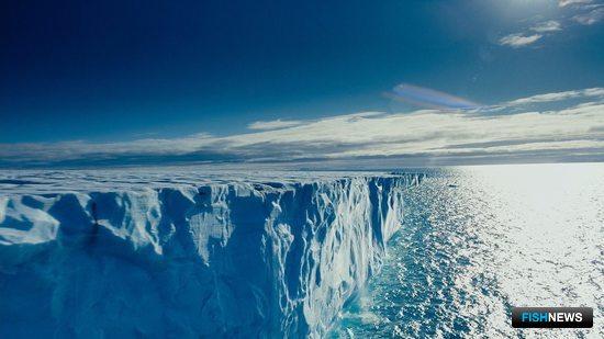 Море в Арктике. Фото из открытых источников