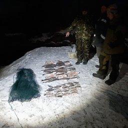 У браконьера изъяли рыбу и сети. Фото пресс-службы Кавказского заповедника