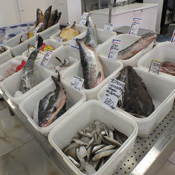 Рыба на прилавке в торговых рядах Южно-Сахалинска
