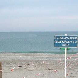 Организаторы рыбалки на Сахалине заключили первые соглашения с регионом