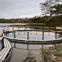 Три рыбоводных участка в Мурманской области передадут в пользование. Архивное фото