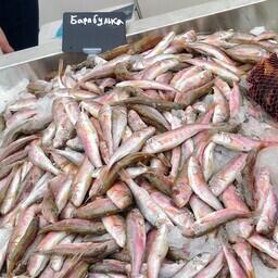 Сочинская продукция из водных биоресурсов поставляется во многие регионы России