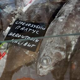 Стрелозубый палтус на российском прилавке. Архивное фото