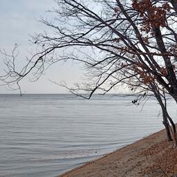 Озеро Ханка — важнейший водоем для пресноводного рыболовства в Приморском крае. Архивное фото