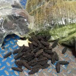 Задержанный деликатес. Фото пресс-службы ДВТУ