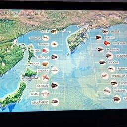 На интерактивной карте можно посмотреть, какие виды рыбы и беспозвоночных добываются на Дальнем Востоке