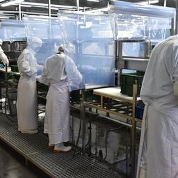 Трудовым мигрантам в Приморье не запрещают работать в рыбной отрасли