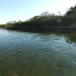 Милоградовка — одна из лососевых рек Приморья. Архивное фото