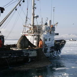 Сахалинские рыбаки оценили плюсы консолидации