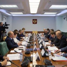 В Совете Федерации обсудили предложения ФАС по изменению принципов распределения квот. Фото пресс-службы верхней палаты парламента