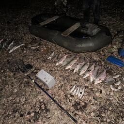 На Дону задержали двух рыбаков с электроудочкой. Фото пресс-службы Азово-Черноморского теруправления Росрыболовства