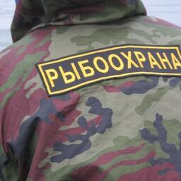 Законодатели уточнили полномочия рыбоохраны