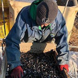 Специалисты СахНИРО изучили запасы корбикулы в озере Айнское. Фото СахНИРО