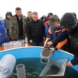 В акваторию озера Байкал выпустили более 53,4 млн личинок омуля. Фото пресс-службы правительства Иркутской области