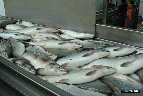 Дальневосточники поддержали предложения по «рыбному» техрегламенту