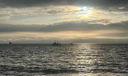 В уже традиционном послепраздничном обзоре Fishnews рассказываем о самых резонансных темах прошедшего года.