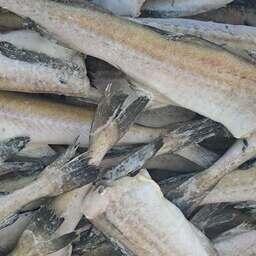 Отмечен рост оптовых цен на минтай