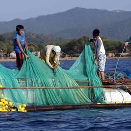 Рыбный промысел в Таиланде. Фото информагентства Trans Asia