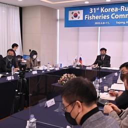 Вопросы сотрудничества обсуждались на очередной сессии Российско-Корейской комиссии по рыбному хозяйству. Фото пресс-службы Росрыболовства