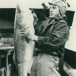 1970-е гг. стали настоящим золотым веком советской рыбной промышленности
