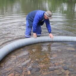  Воронежское водохранилище продолжат зарыблять толстолобиком
