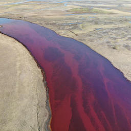 Последствия разлива нефтепродуктов в Норильске. Фото пресс-службы Росприроднадзора
