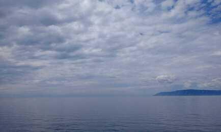 В Бурятии обсудили методы борьбы с ростом популяции большого баклана. Архивное фото