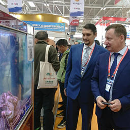 Аквариумы с живой рыбой и крабами привлекали большое внимание посетителей российского стенда